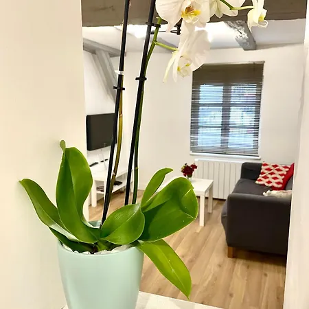Appartement Magnifique Centre Petite France