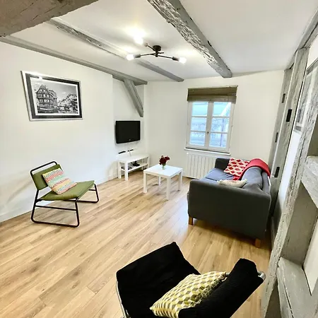 Magnifique Centre Petite France Straatsburg